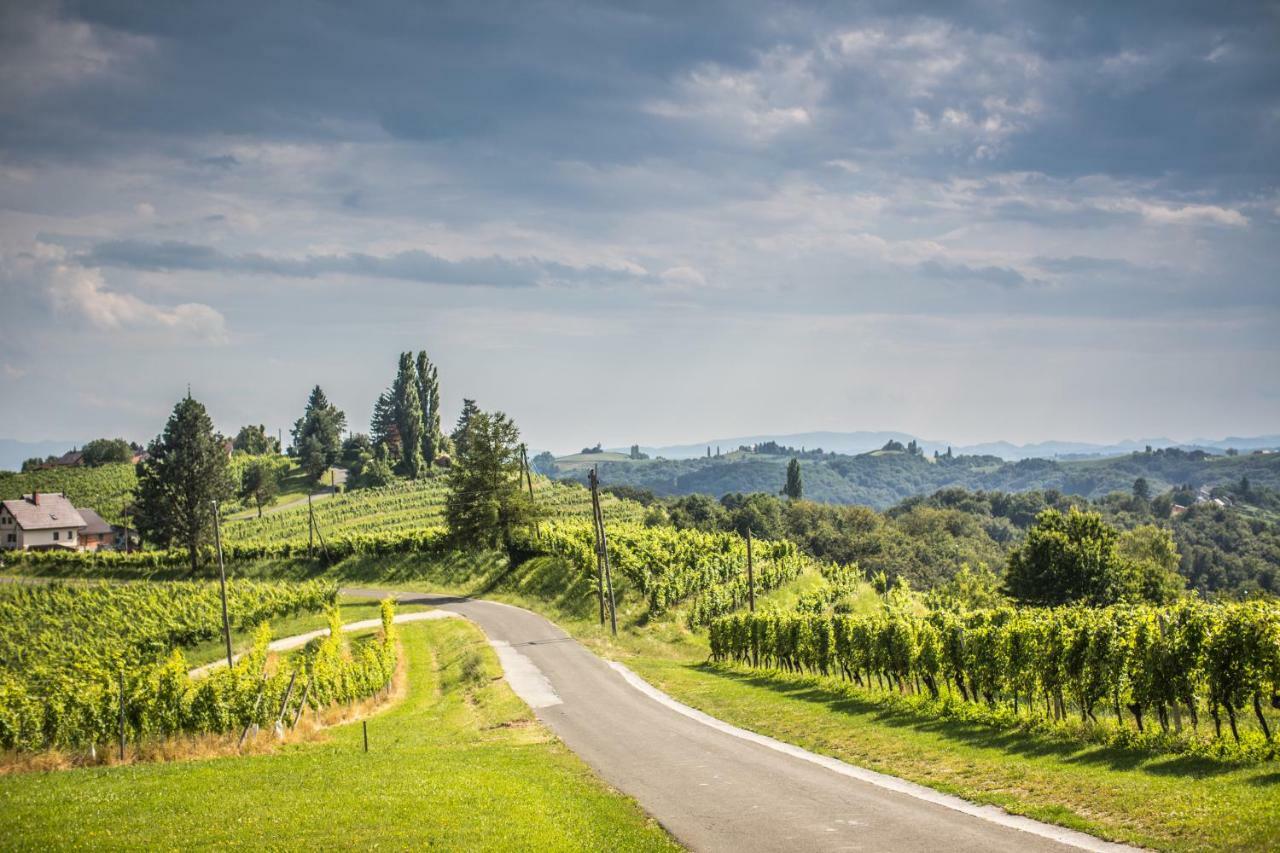 Taverna & Wine Jeruzalem Ivanjkovci Εξωτερικό φωτογραφία