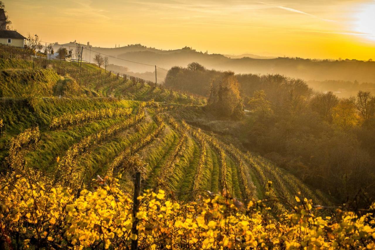 Taverna & Wine Jeruzalem Ivanjkovci Εξωτερικό φωτογραφία