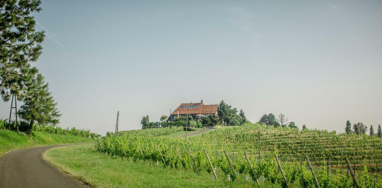 Taverna & Wine Jeruzalem Ivanjkovci Εξωτερικό φωτογραφία